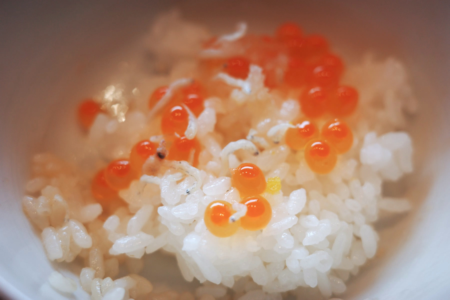 A bowl of hot Koshihikari rice topped with salmon roe and baby sardines